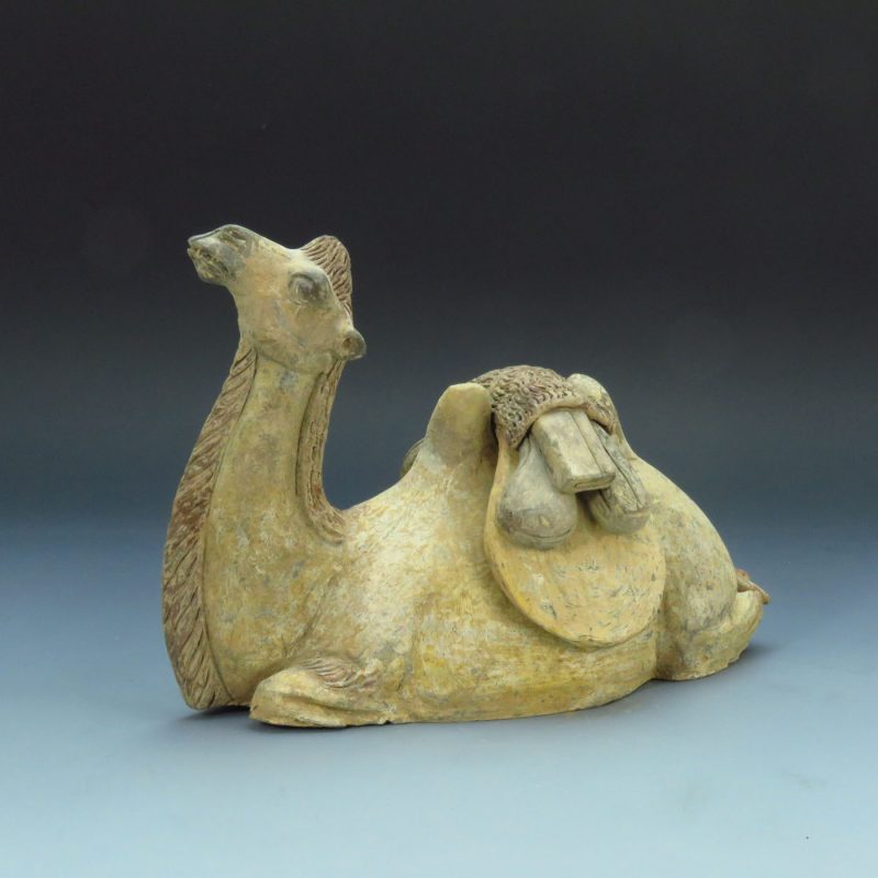 tang dynasty camel