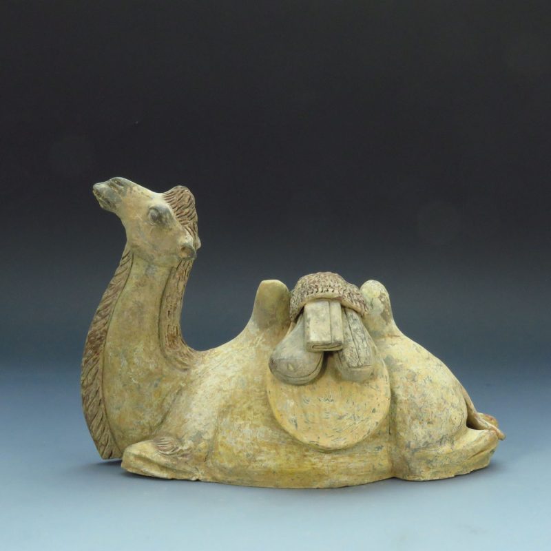 tang pottery camel
